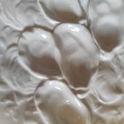 Oyster plate 19th century porcelain Haviland & Co Limoges France