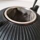 Black grooved cast iron teapot – Japanese Zen style