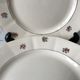 Set of 6 flat plates Digoin Sarreguemines years 40-50