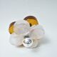 Wall light Fleur Albano Poli Poliarte 1970
