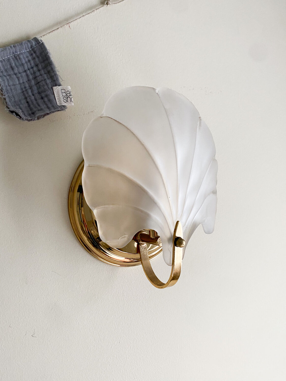 Shell sconces