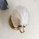 Shell sconces