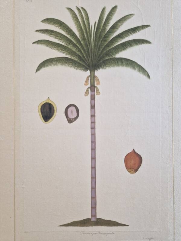 La Roche Laffitte (Born in 1943) - Watercolour drawing on silk - Palm tree