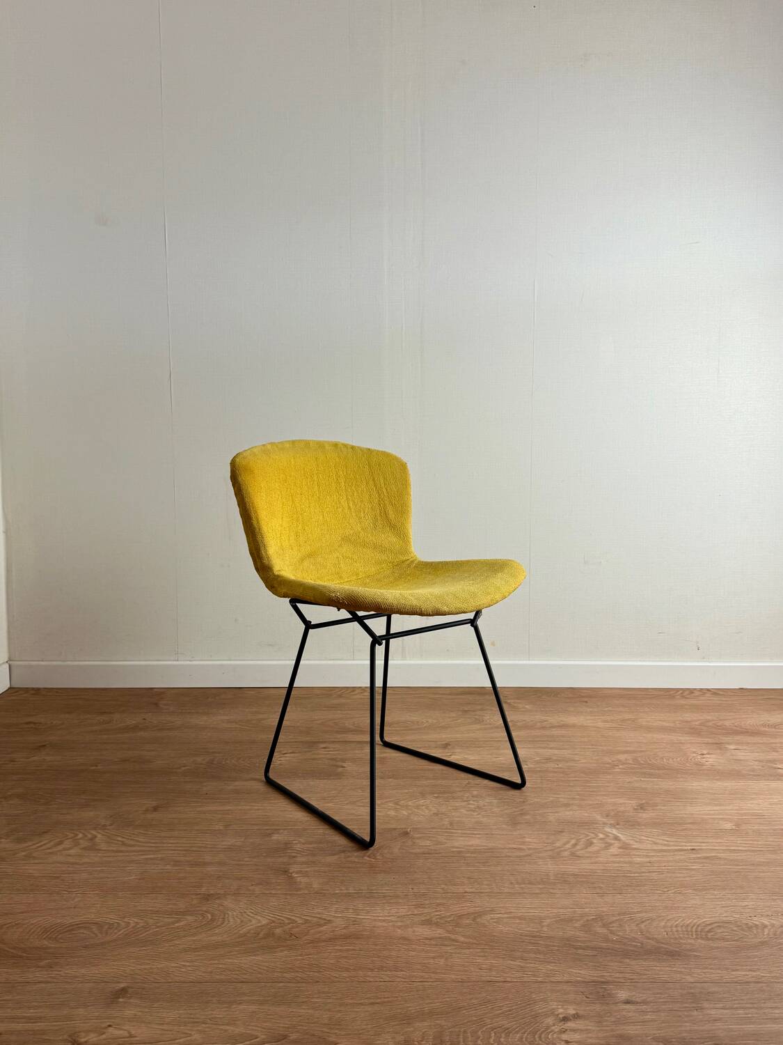 Original Bertoia chair produced in 1952 for Knoll