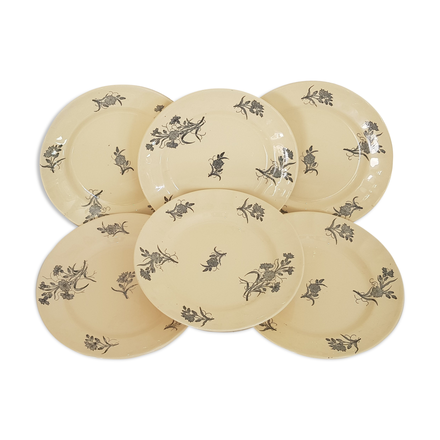 6 flat plates made of Longchamp earthenware model Bluets in iron earth.