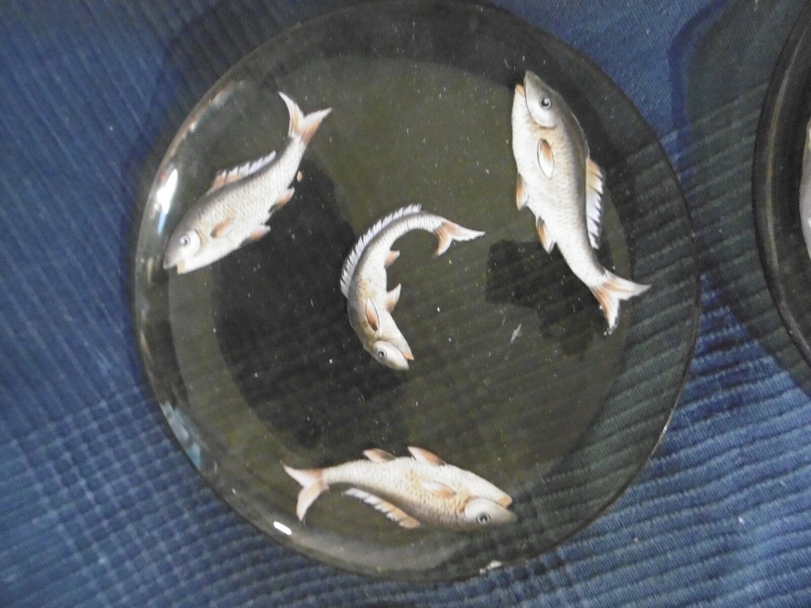 Set of 5 old plate in e emaille glass or hand-painted old fish decoration