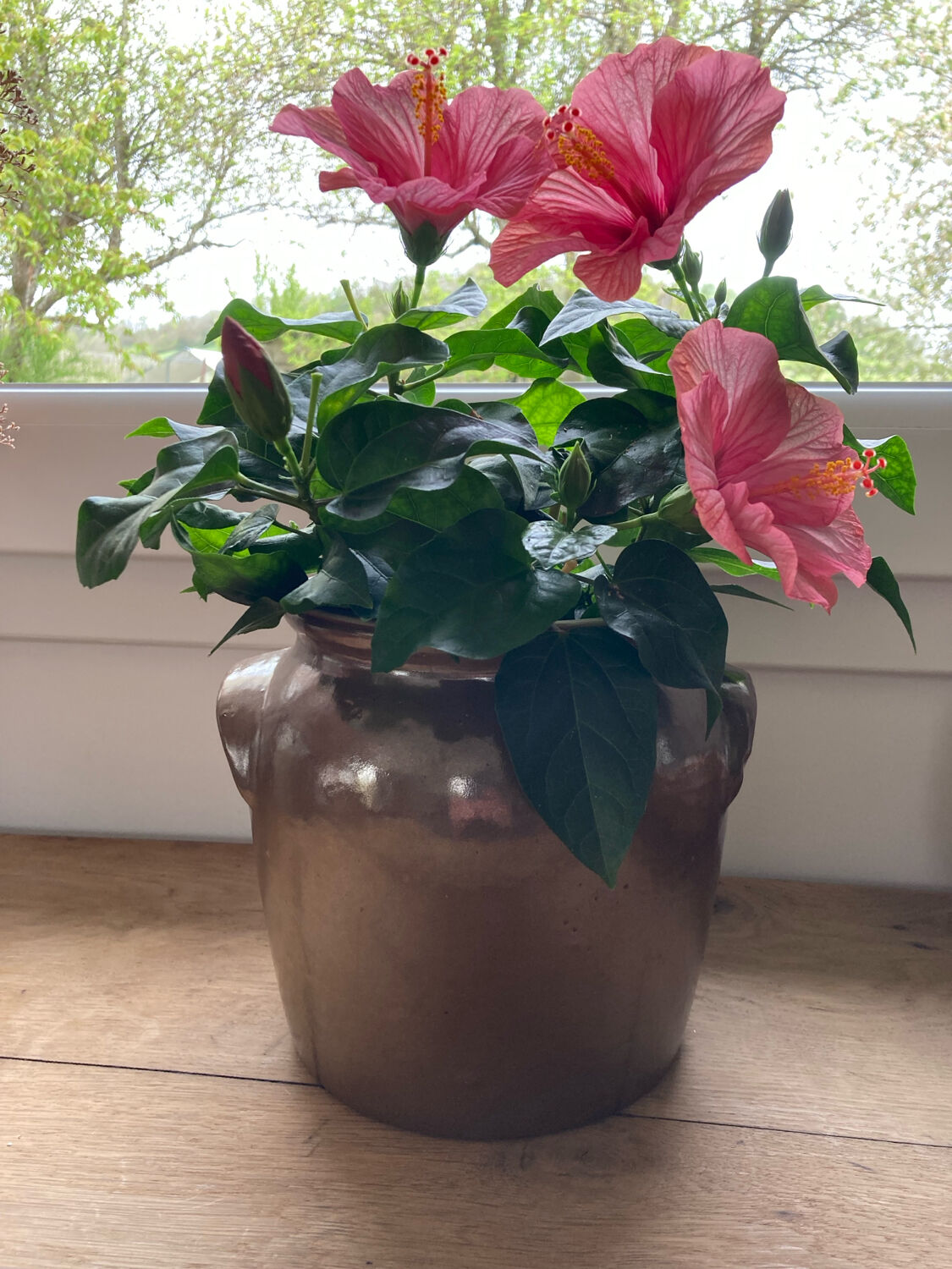 Brown stoneware jar