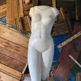 Bust in platre Atelier du Louvre