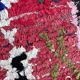 Moroccan carpet Boucherouite colored - 88 x 209 cm
