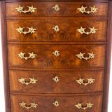 Antique chest of drawers, Northern Europe, circa 1860. After renovation.