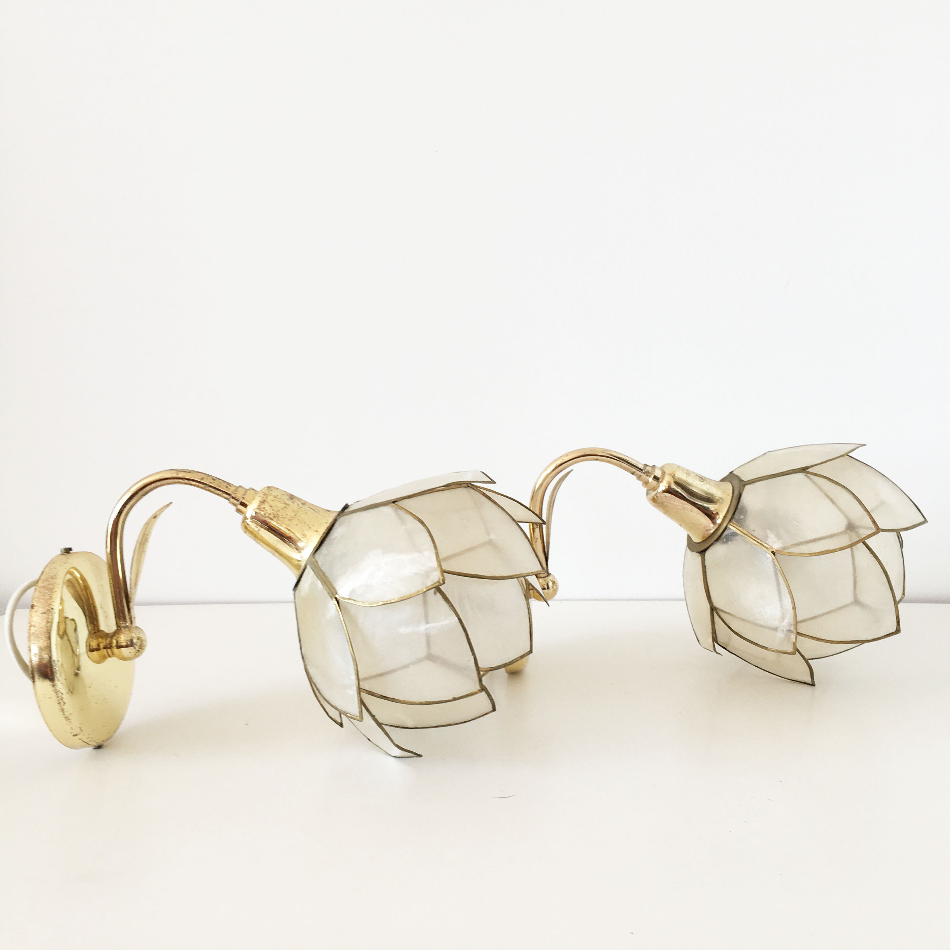 Pair of mother-of-pearl flower sconces