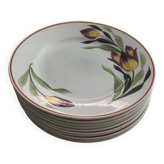 Plates