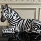 Italian ceramic, Zebra, 1960s