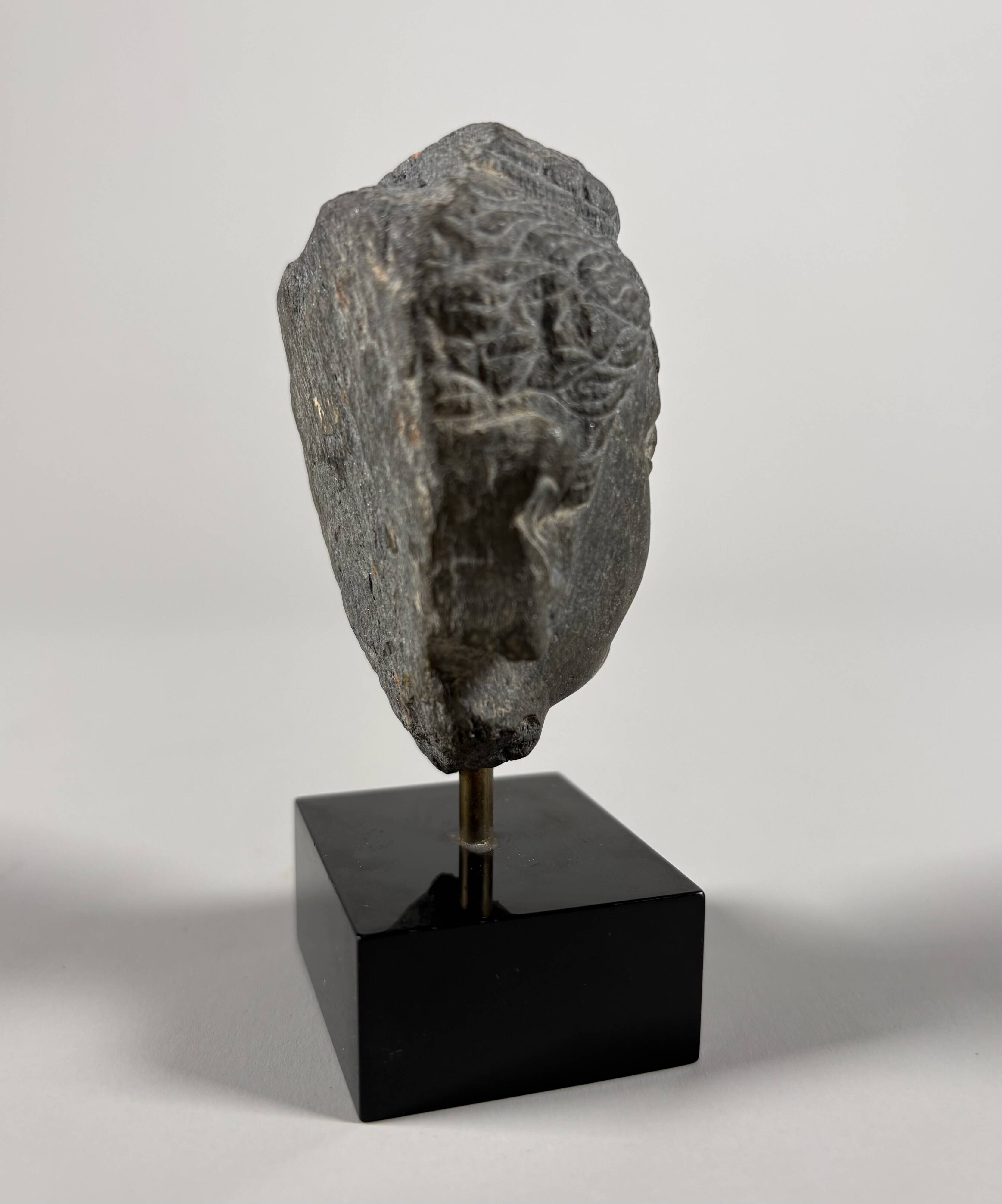 Sculpture of a Buddha head in grey schist from Gandhara, ancient Greece.