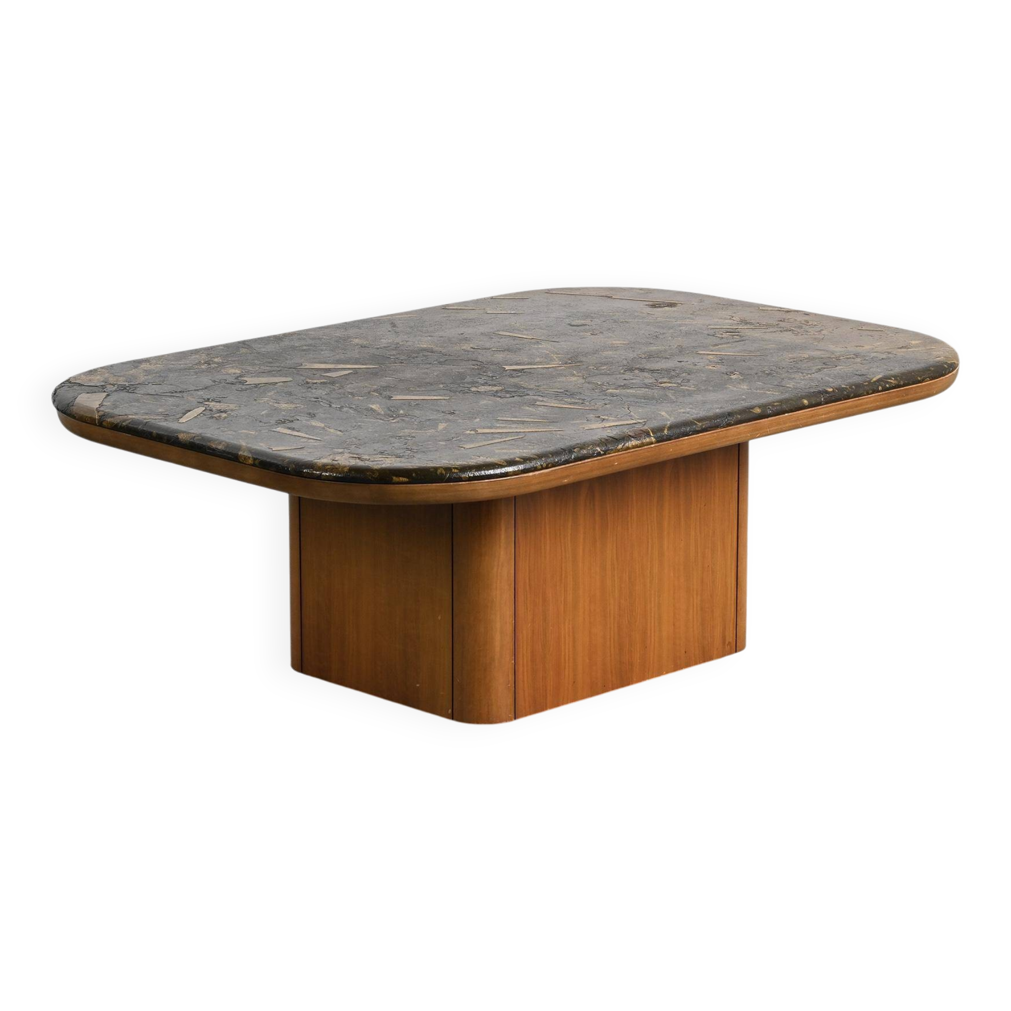 Fossil stone coffee table, Fossile collection, Switzerland, circa 1980.