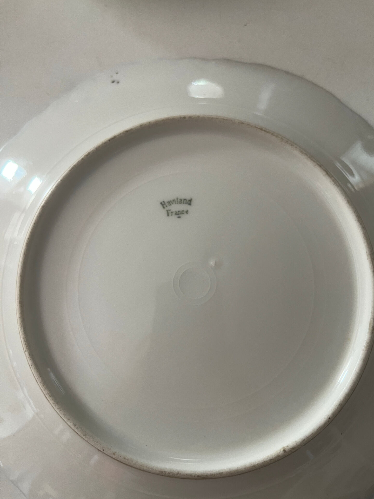 Set of 6 antique Haviland Paris porcelain plates.