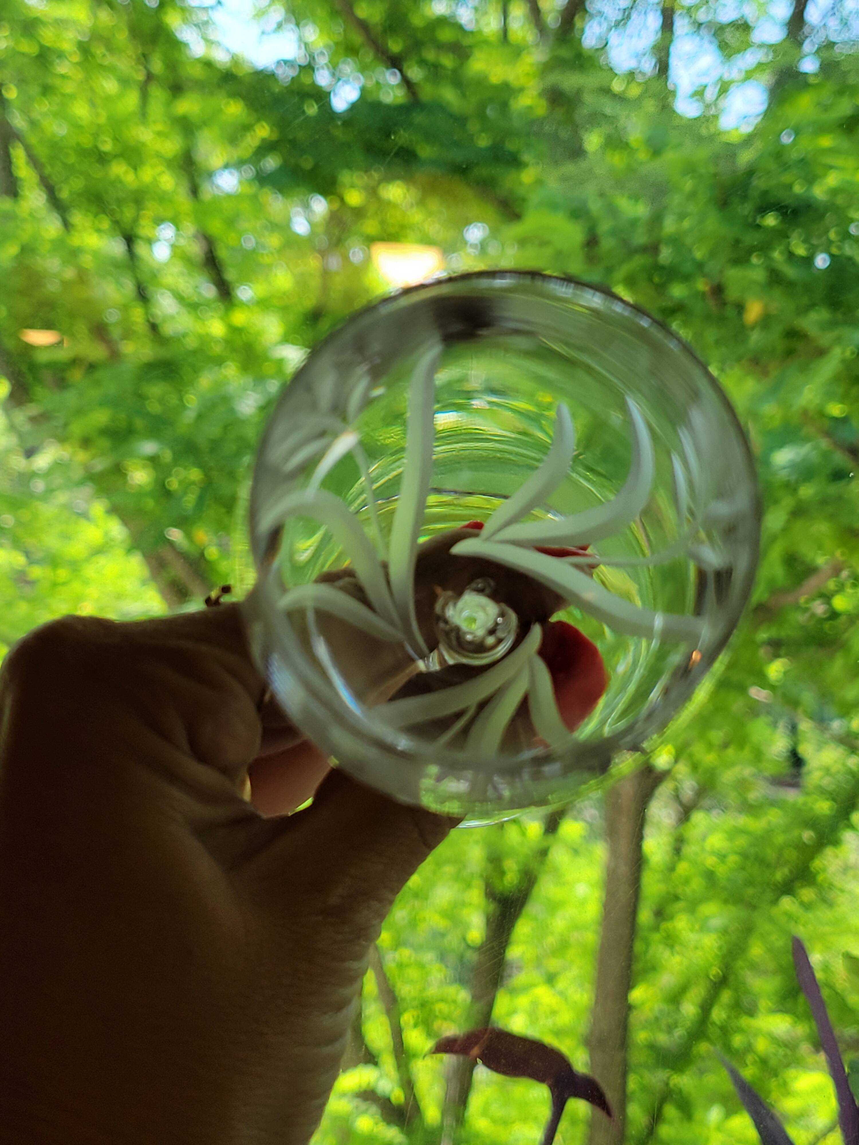 12 White Wine Glasses in Arques Crystal, Fleury Cut Flamépis Pattern