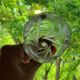 12 White Wine Glasses in Arques Crystal, Fleury Cut Flamépis Pattern