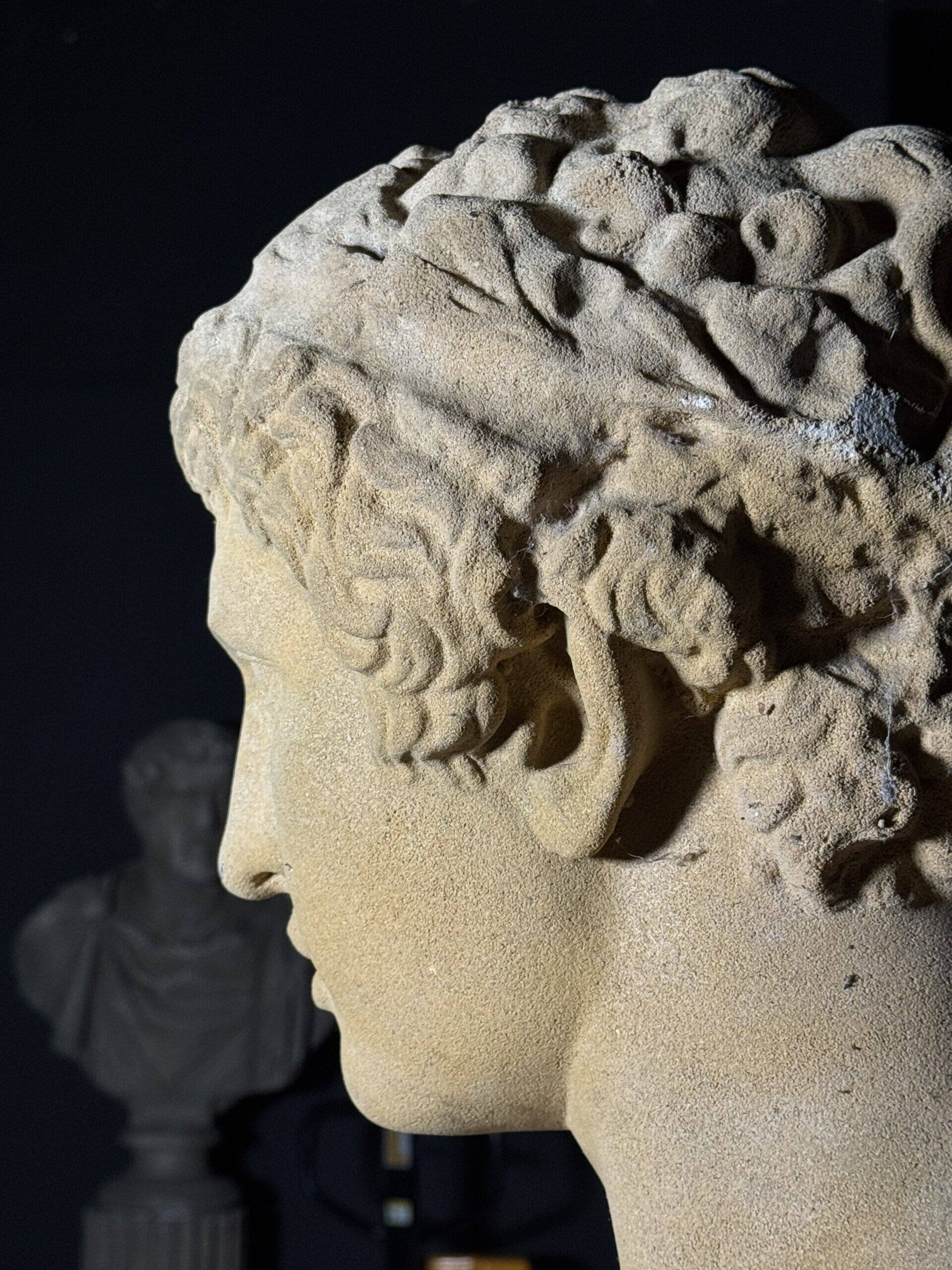 Bust on pedestal 20th century Antinous