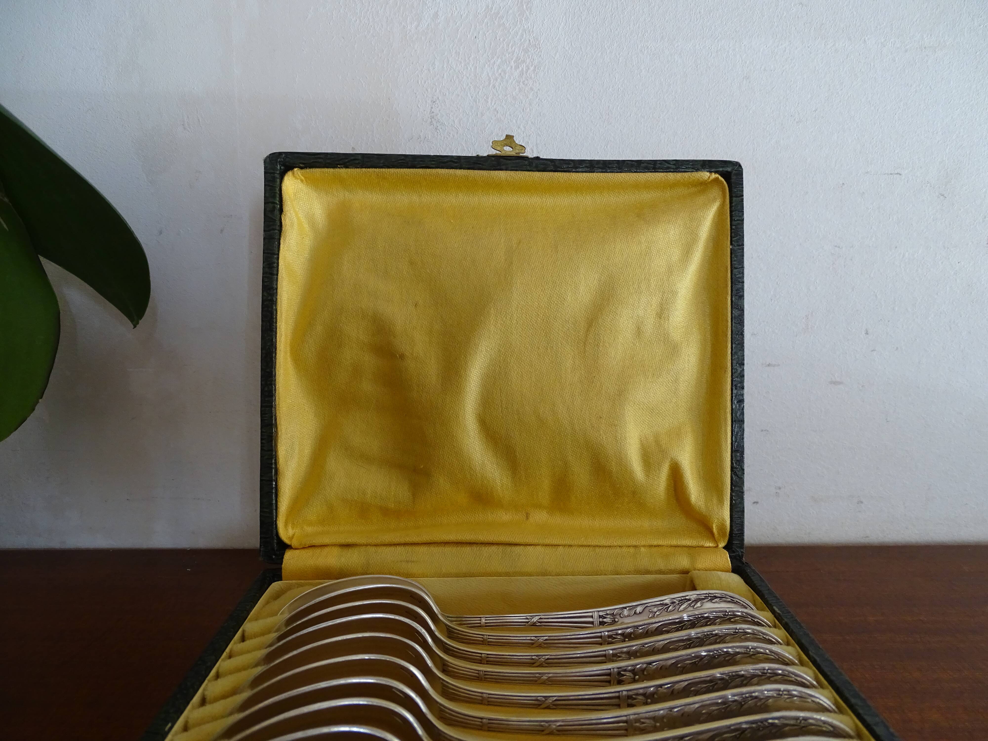 12 dessert spoons Apollo silver metal 1920 in case