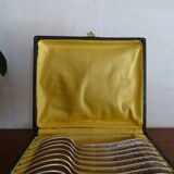 12 dessert spoons Apollo silver metal 1920 in case