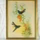 Lithographie au Colibri de Bouguer butineur (Urochroa bougieri) - J. Gould et H.C. Richter - Mi-XIXè
