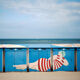 The bather