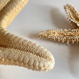 Vintage starfish