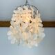 Mother-of-pearl grapevine suspension