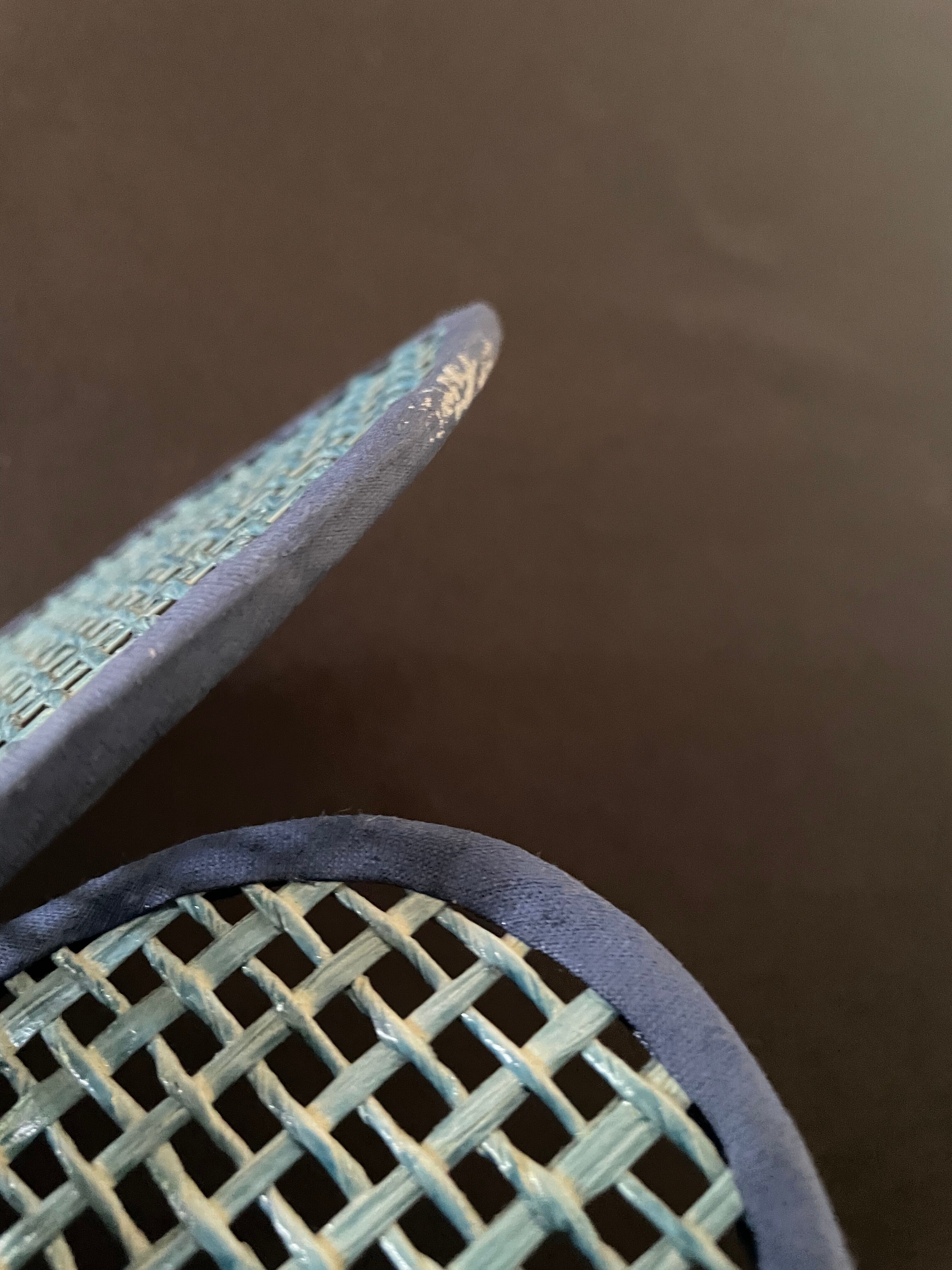 Lotus flower canning wall lamp