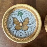 Lot de six sous verres en bambou et papillons