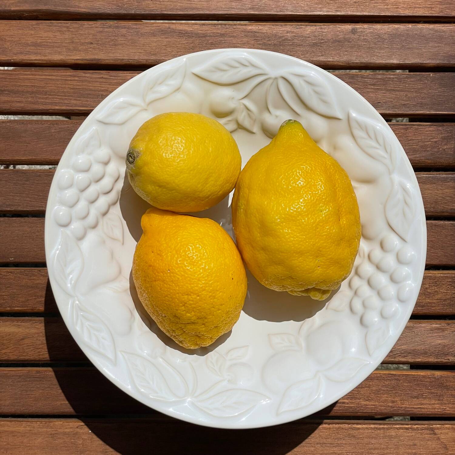 Fruit bowl with slip decoration
