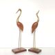 Couple blue herons and wood