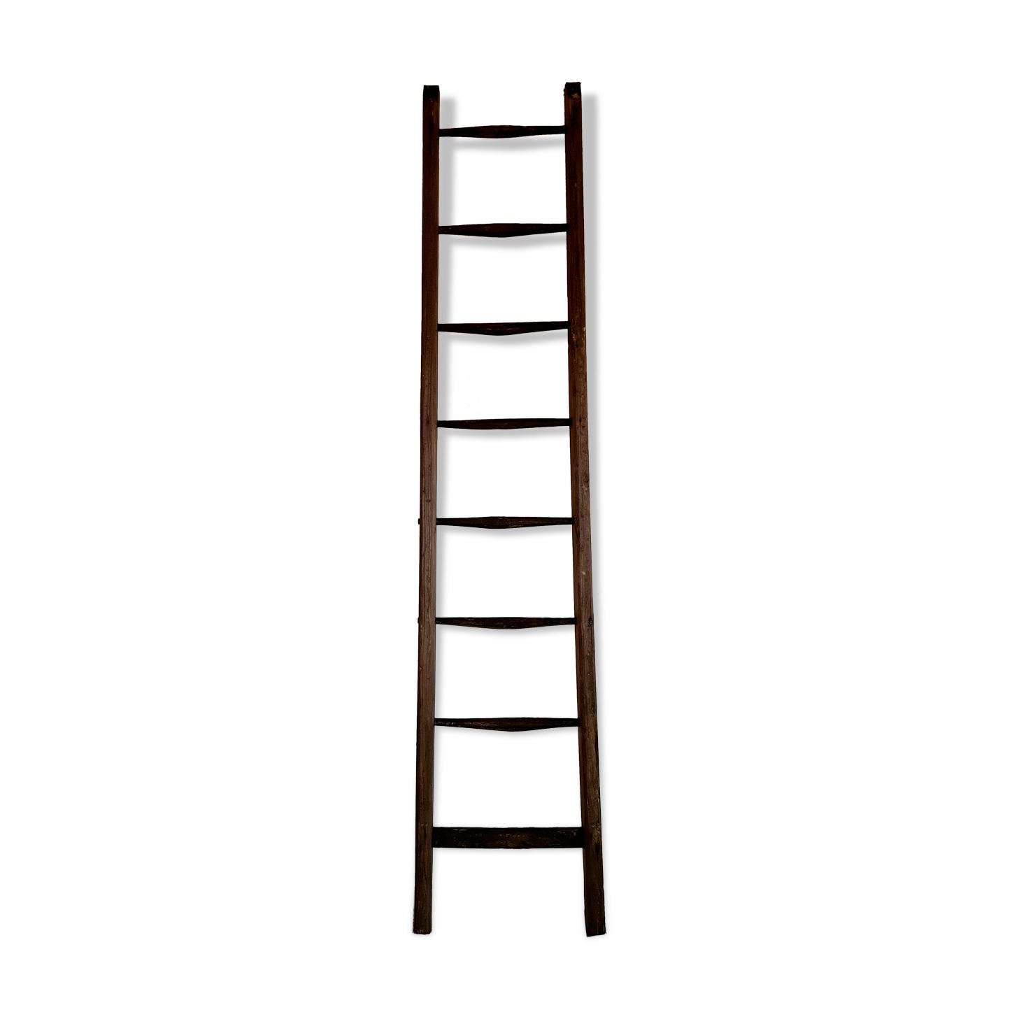 Old wooden farm ladder