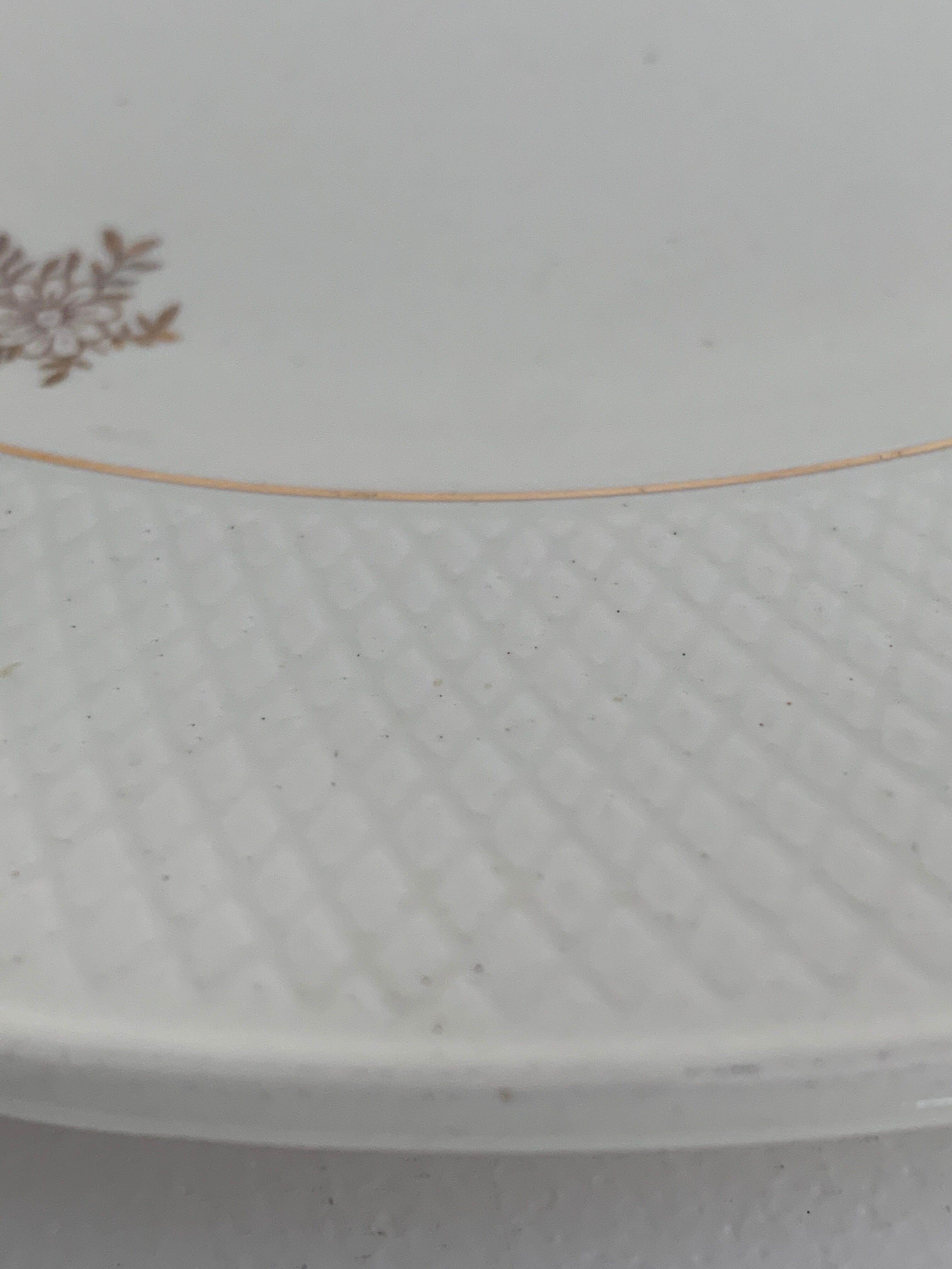 11 Salins flat plates
