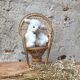 Fauteuil Emmanuelle miniature en rotin