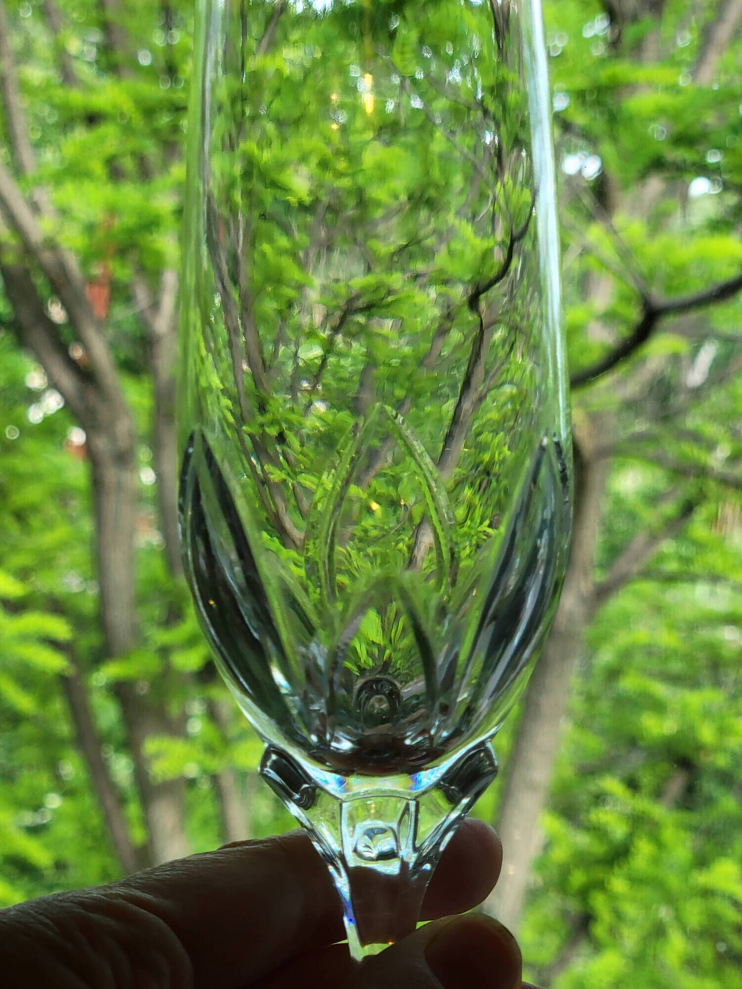 10 crystal champagne flutes 24% Cristallerie Kaspar Lemberg Lorraine vintage