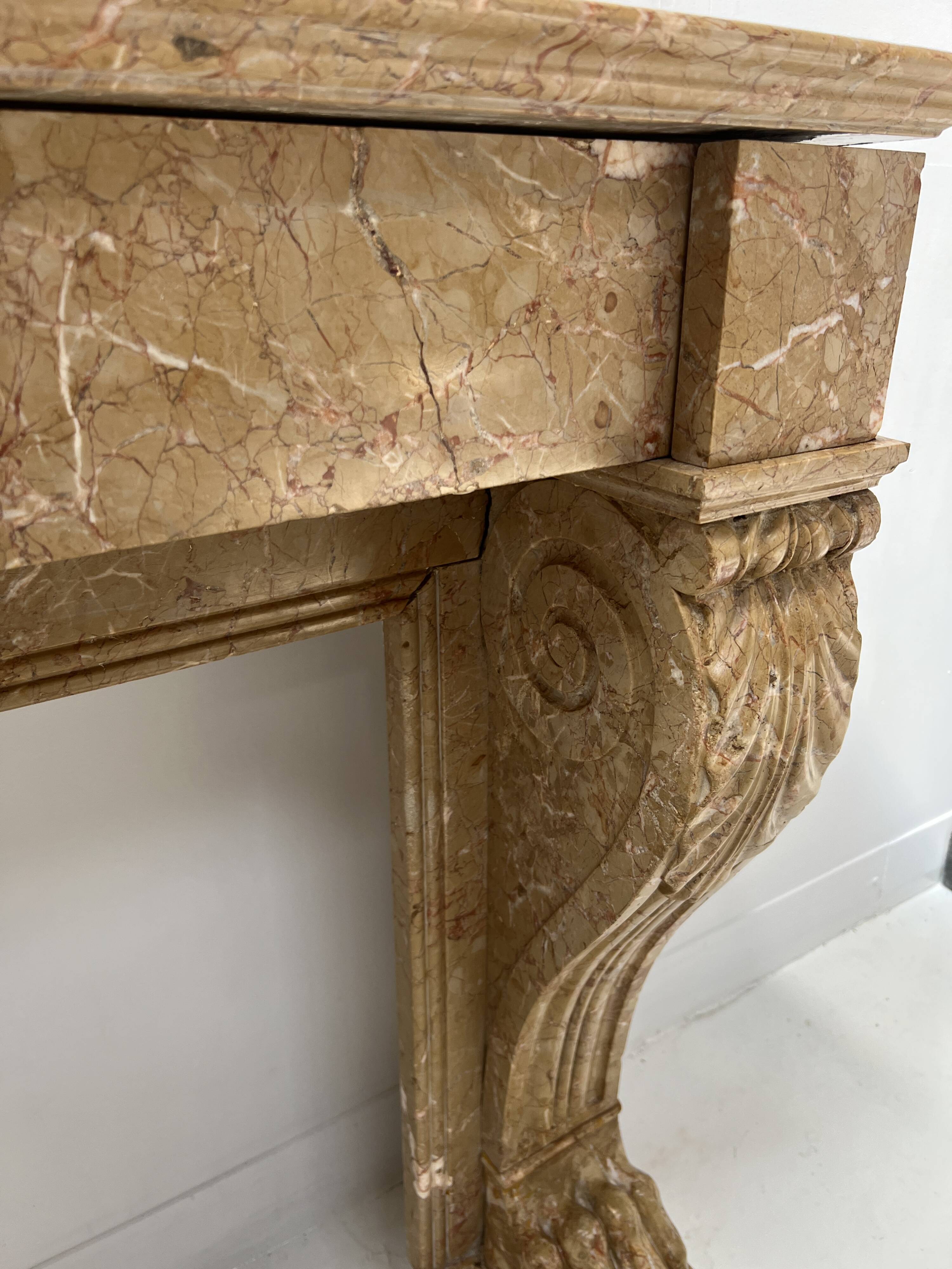 Napoleon III fireplace with claw feet in speckled marble, 19th century.