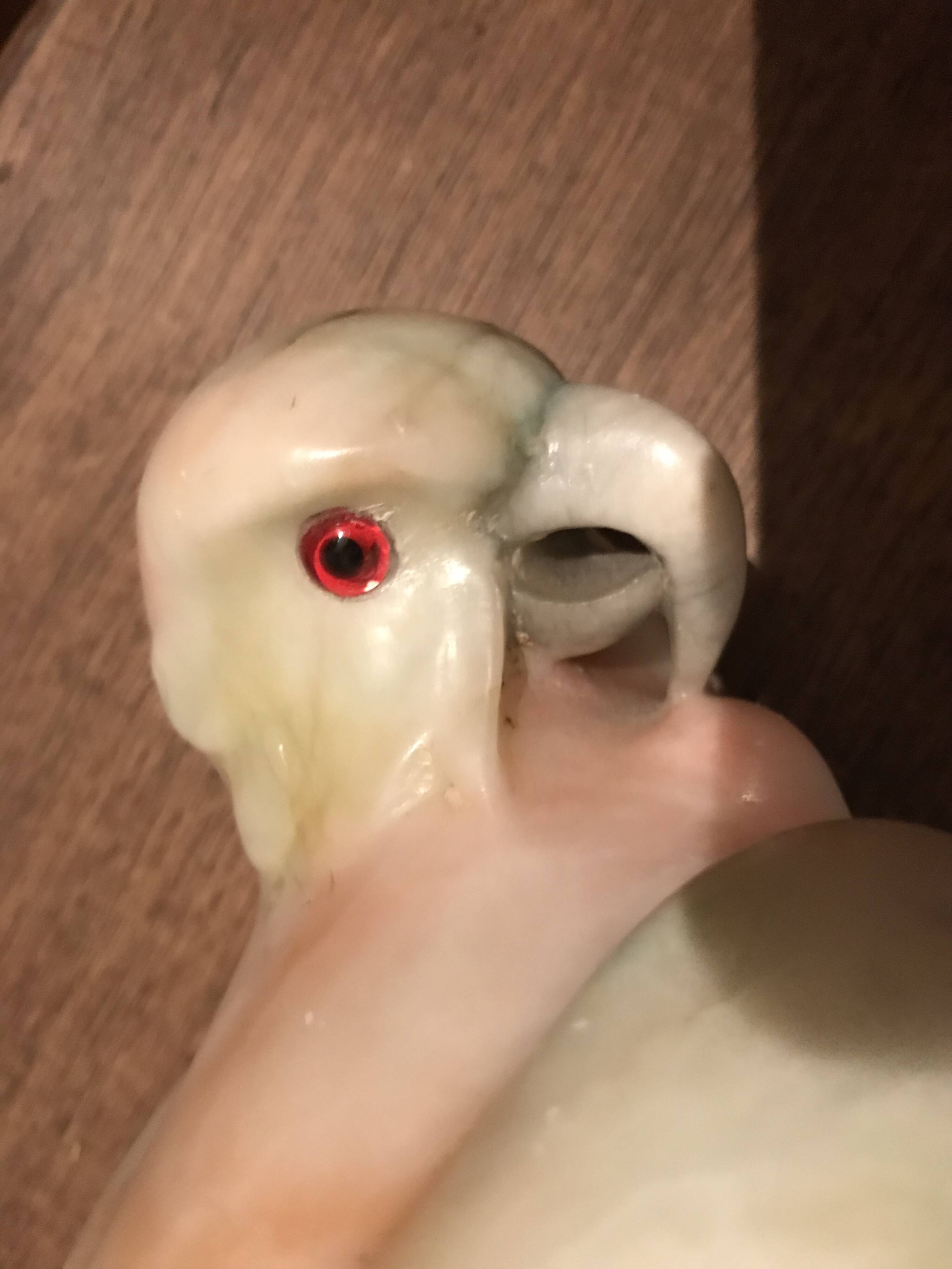 Oiseau en pierre dure marbrée.