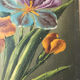 Huile sur bois aux iris