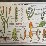 Old school educational poster, school