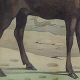 Original Zoological Board " Elan & Reindeer - Buffon 1836