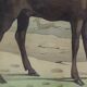Planche Zoologique Originale " Elan & Renne - Buffon 1836