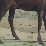 Original Zoological Board " Elan & Reindeer - Buffon 1836