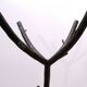 "The Tree" coat rack by Sir Terence Conran, 1960