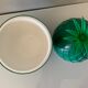 Vintage green pineapple ice cube tray