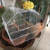 Old bird cage decoration