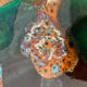 Dish Vallauris