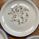 Dessert plates flowers mill of wolves MDL