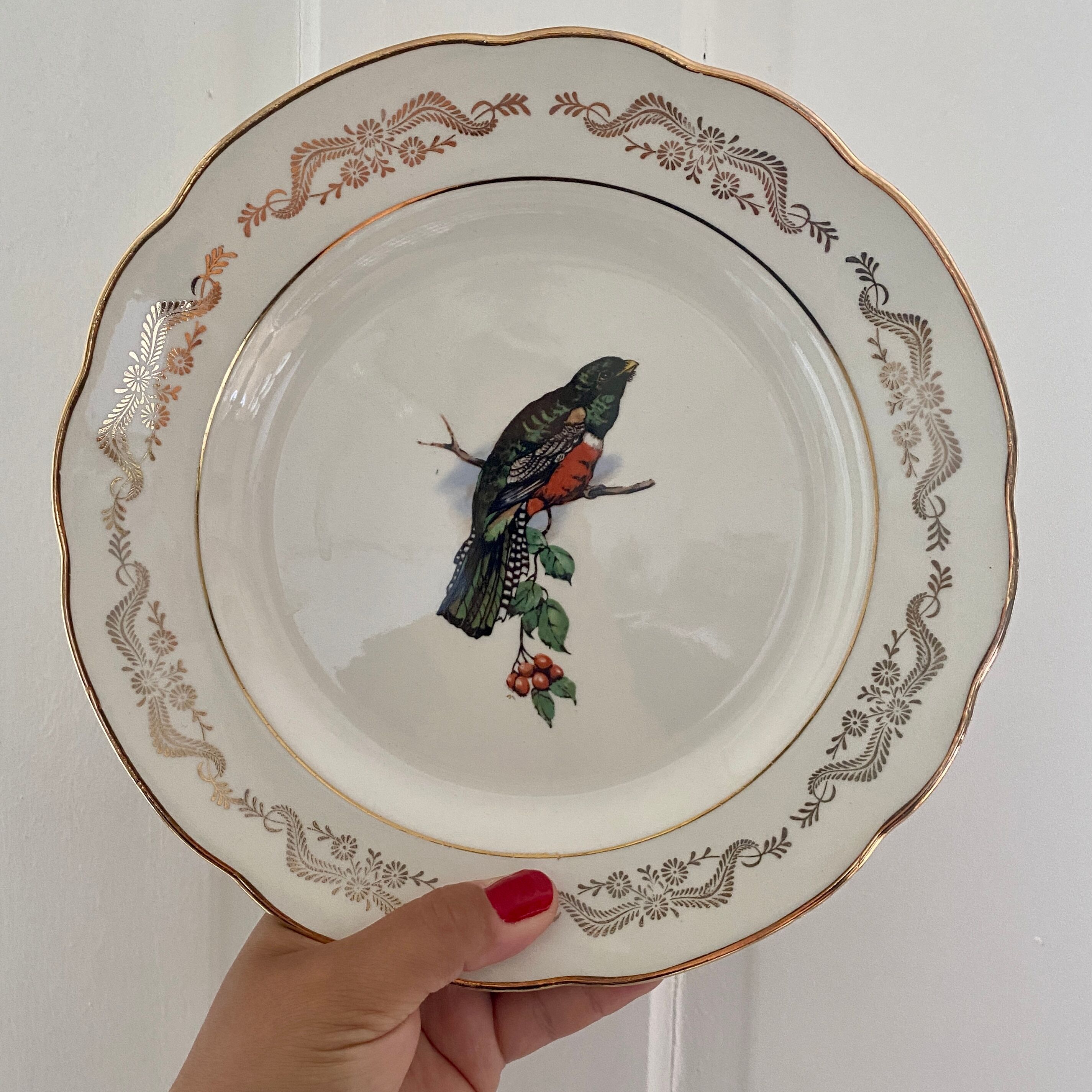 Set of 6 flat plates vintage model Moineaux de Paris de Gien